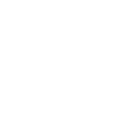 brain